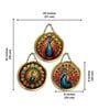 3 Pcs Peacock Wooden Circle Set Hanging