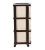 3 Tier 250 Storage Cabinet in Beige & Wenge Colour