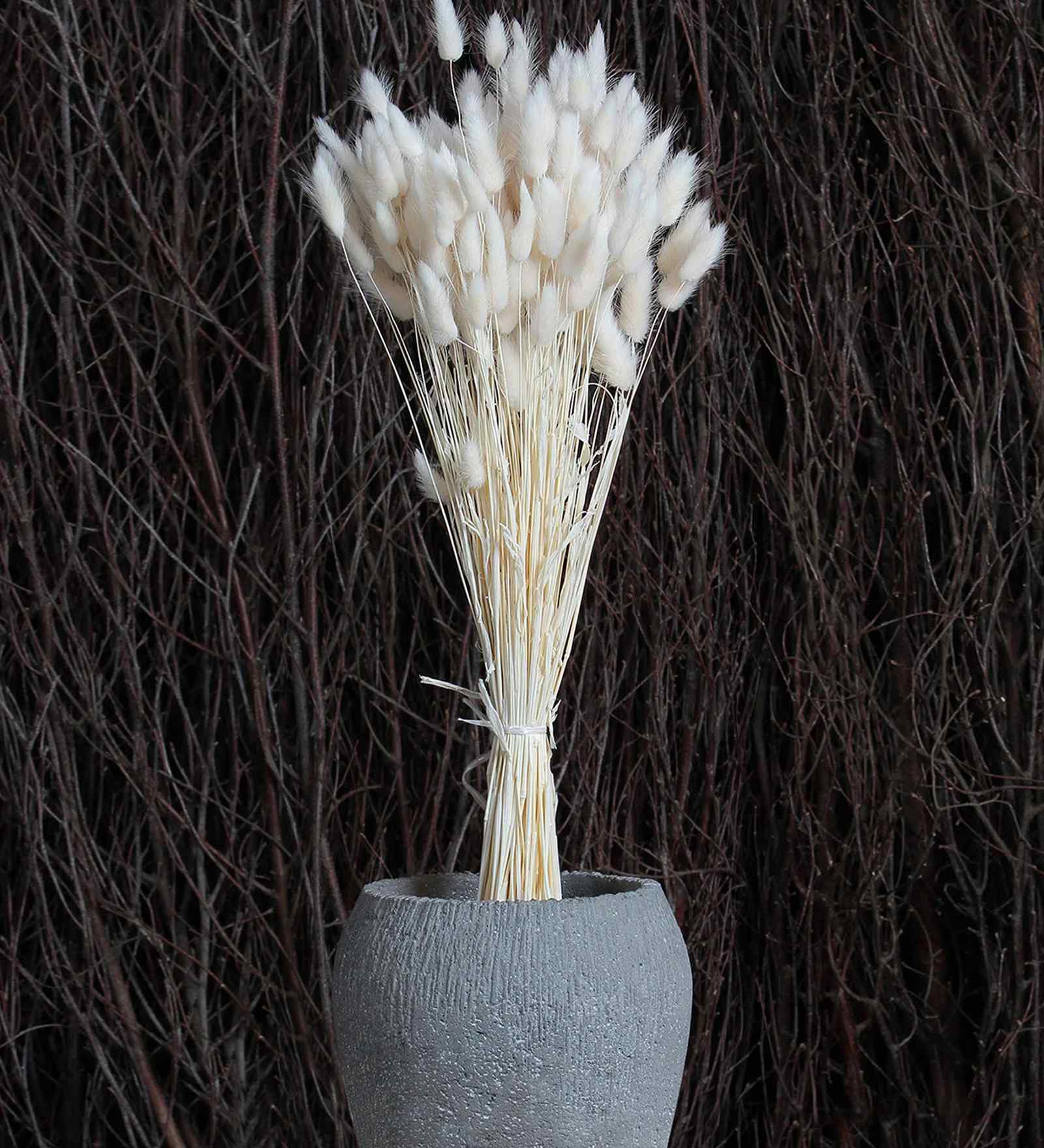 White Metal 30 Pcs Bunny Tails Dried Plants