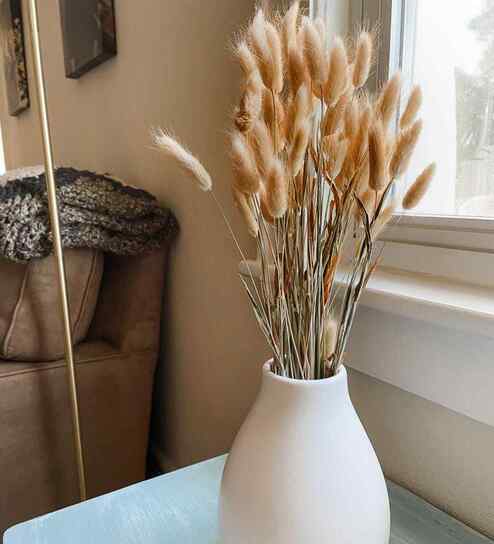 Grey Metal 30 Pcs Bunny Tails Dried Plants