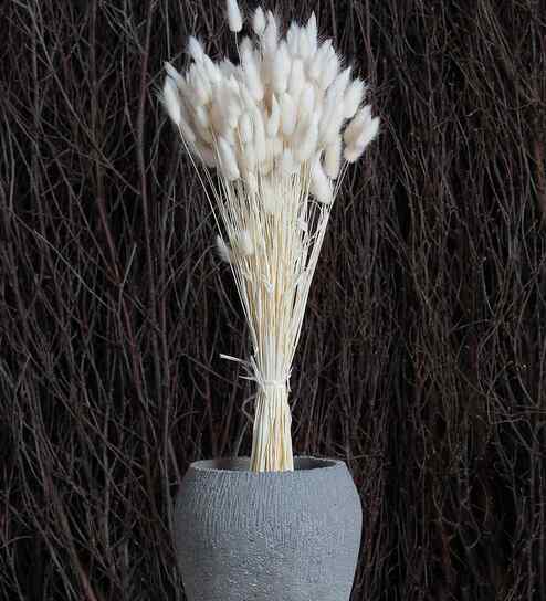 White Metal 30 Pcs Bunny Tails Dried Plants