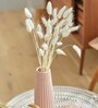 White Metal 30 Pcs Bunny Tails Dried Plants