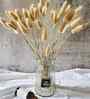 Brown Metal 30 Pcs Bunny Tails Dried Plants