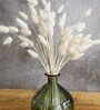 White Metal 30 Pcs Bunny Tails Dried Plants