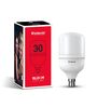 30 W Standard B22 LED Bulb (White)