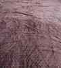 Brown 300 GSM Silky Touch Premium Super Soft Single Bed Blanket