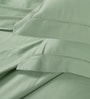 Green 300 TC Cotton King Sized Bedsheet With 2 Pillow Covers
