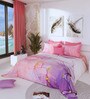 Violet 300 TC King Size Bedsheet with 2 Pillow Covers