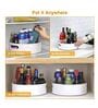 360 Degree Rotating Spice Storage Tray Kitchen Cabinet Turntable Cosmetic Organizer Basket