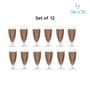360 ml Dessert Glass Set of 12 from Brazil | Cone Shaped Ice Cream Glasses for Milkshake, Cocktail, Dessert, Ice Cream, Falooda, Wine, Cocktails | Perfect for Home, Cafes & Restaurants