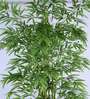 3Ft Artificial Variegated Dracaena Plant with Pot