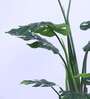 4.3Ft Artificial Monstera Deliciosa Tree Plant with Pot