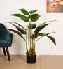 4.5Ft Artificial Banana Plant with Black Pot