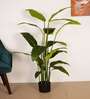 4.6Ft Artificial Bird of Paradise Tree Plant with Pot