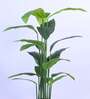 4.6Ft Artificial Bird of Paradise Tree Plant with Pot