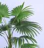 4.7Ft Artificial Palmetto Palm Tree Plant with Pot