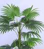 4.7Ft Artificial Palmetto Palm Tree Plant with Pot