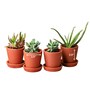 4 Pcs Red Terracotta 3.5 Inchs Planters
