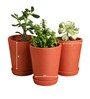 4 Pcs Red Terracotta 5.5 Inchs Planters