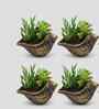 4 Pcs Red Terracotta 5 Inchs Planters