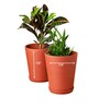 4 Pcs Red Terracotta 7.5 Inchs Planters