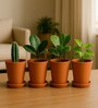 4 Pcs Red Terracotta 7.5 Inchs Planters
