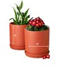 4 Pcs Red Terracotta 8 Inchs Planters