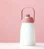 400 ml Glass Bottle with Handle and Spout Lid Inner (Assorted Colors)