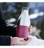 450 ml Stainless Steel Bottle (Red)