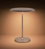 Noel Gold Aluminium Smart Lamp