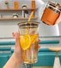 450ml Leather-Sleeved Double Wall Insulated (Heat-Resistant) Glass Drinking Cup (Assorted)