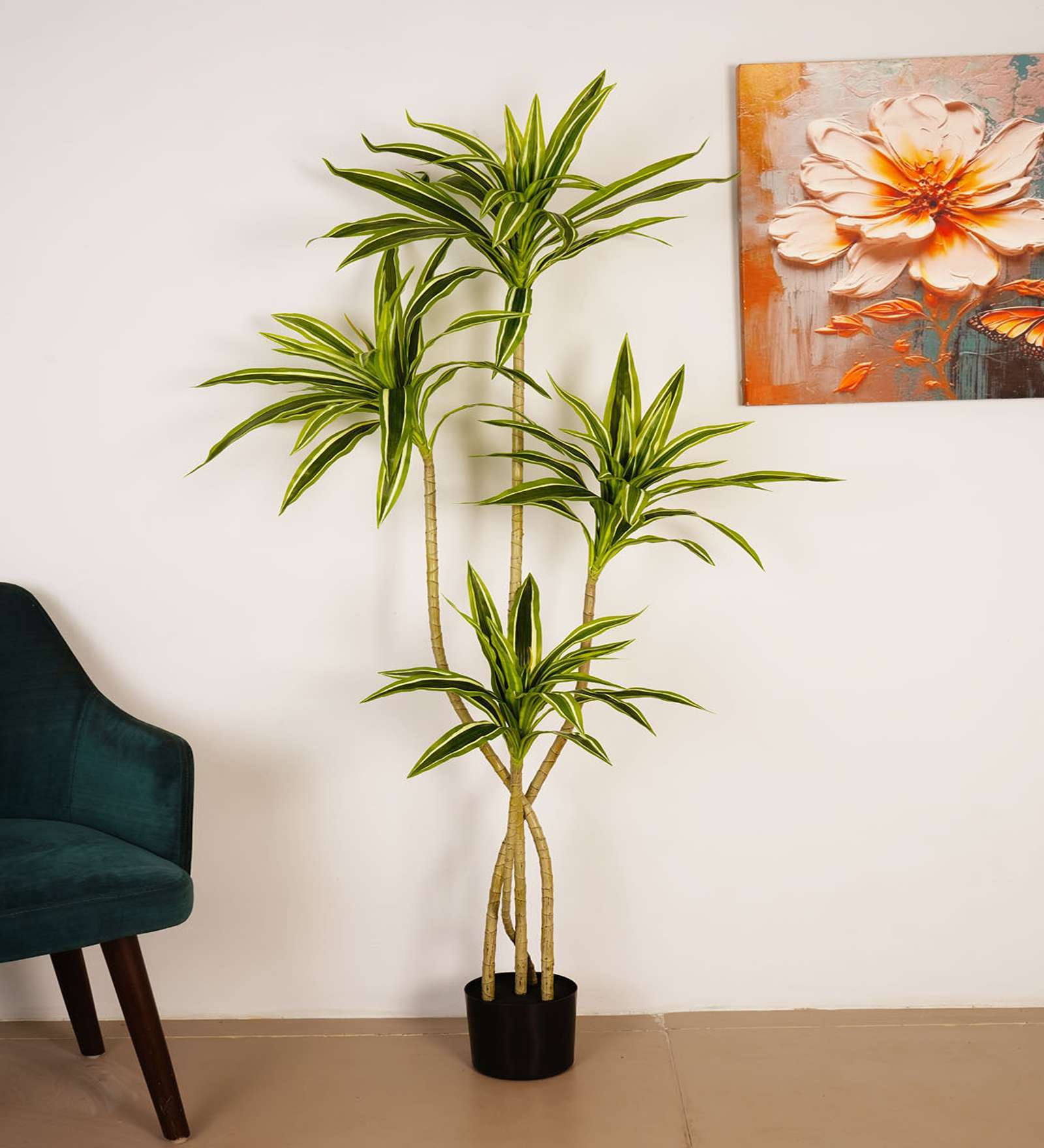 5.6Ft Artificial Dracaena Reflexa Tree Plant with Black Pot