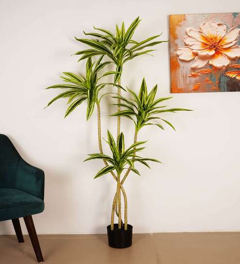 5.6Ft Artificial Dracaena Reflexa Tree Plant with Black Pot