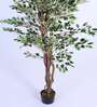 5.2Ft Artificial Variegated Ficus Tree Plant with Pot