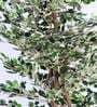5.2Ft Artificial Variegated Ficus Tree Plant with Pot