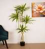 5.6Ft Artificial Dracaena Reflexa Tree Plant with Black Pot