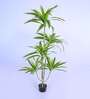 5.6Ft Artificial Dracaena Reflexa Tree Plant with Black Pot