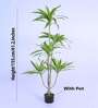 5.6Ft Artificial Dracaena Reflexa Tree Plant with Black Pot