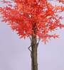 5.6Ft Artificial Japanese Maple Tree Plant with Pot