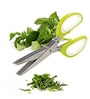 5-Blade Kitchen Herb Scissors