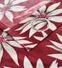 Maroon Cotton Floral 5ft Window Curtain (1 Pc)