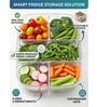 5 Grid Fridge Storage Box with Compartments | BPA Free Plastic Food Storage Container | Vegetable & Fruit Organizer for Refrigerator
