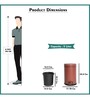 5 Ltr Brown Stainless Steel Step On Dustbin