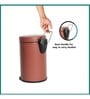 5 Ltr Brown Stainless Steel Step On Dustbin