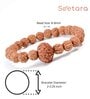 5 Mukhi Rudraksha Bracelet with 7 Mukhi Bead