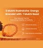 5 Mukhi Rudraksha Bracelet with 7 Mukhi Bead