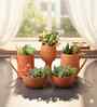 5 Pcs Red Terracotta 5 Inchs Planters