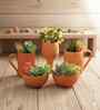 5 Pcs Red Terracotta 5 Inchs Planters
