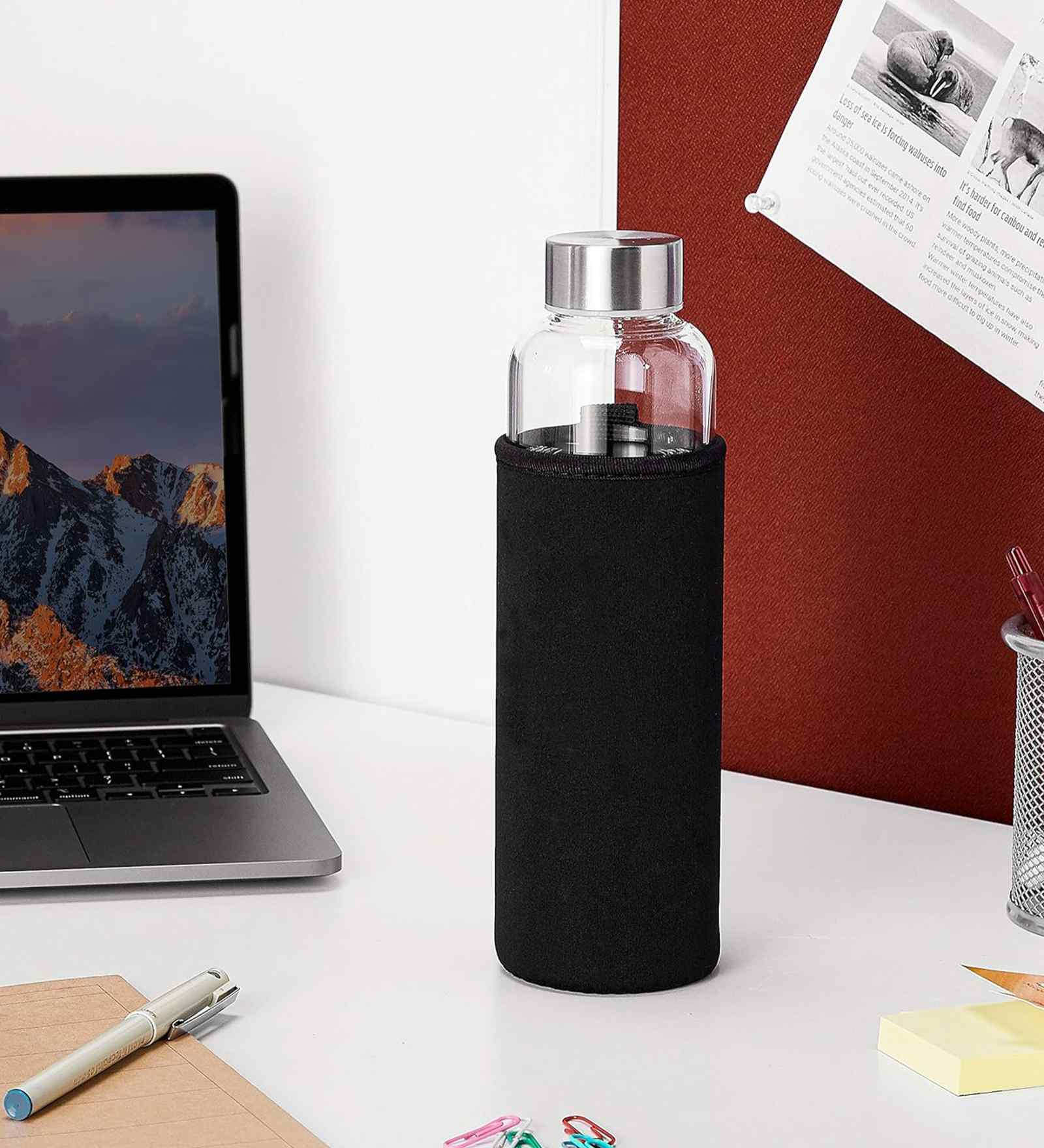 500 ml Borosilicate Glass Water Bottle with Sleeve
