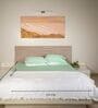 Green 500 Tc Cotton Bedsheet Set With Self Embroidery & 2 Pillow Covers
